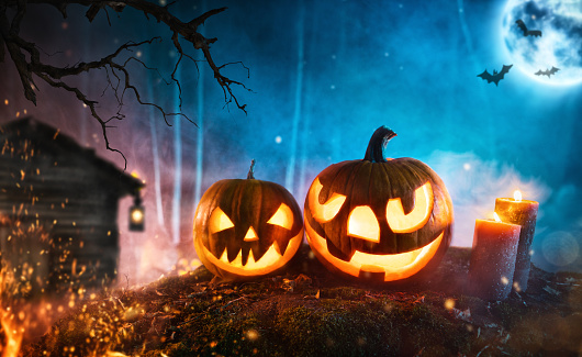 Spooky halloween pumpkins in dark mistery forest