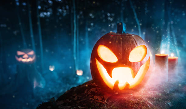 istock Spooky halloween pumpkins in forest 1178533422