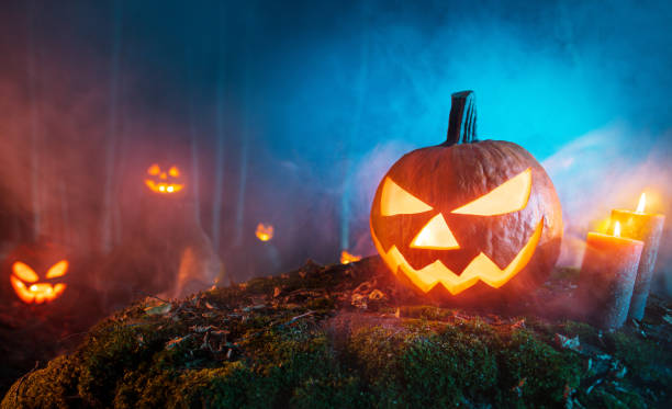 istock Spooky halloween pumpkins in forest 1178533487