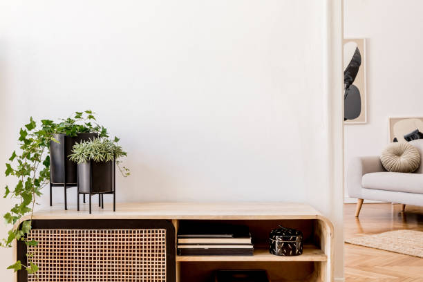 Modern scandinavian home interior with design wooden commode, plants in black pots, gray sofa, books and personal accessories. Stylish home decor. Template. Copy space. White walls.