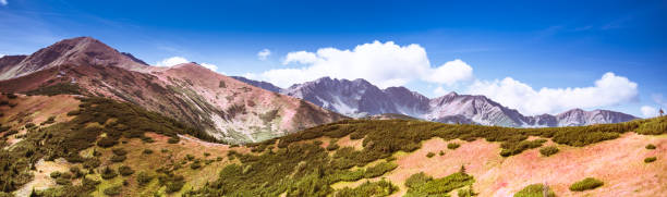 breathtaking tatra mountains in autumn colours - salatin and brestowa peaks - ridge mountain wilderness area poland imagens e fotografias de stock