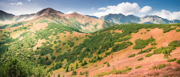 western tatra mountains peaks in autumn landscape - ridge mountain wilderness area poland imagens e fotografias de stock