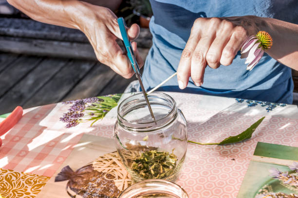 istock Hands of Young Woman Making Echinacea Tincture 1178537891
