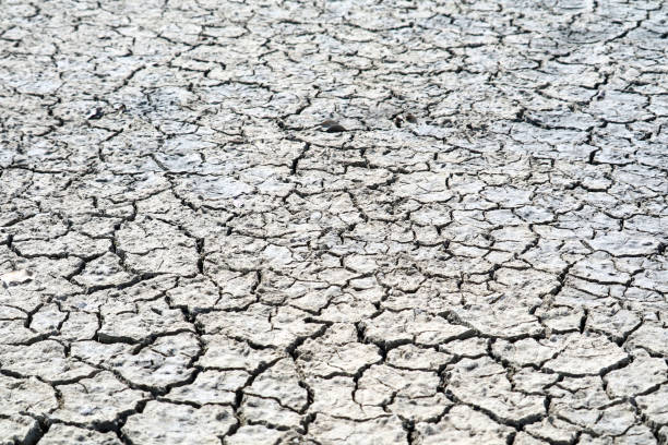 istock The soil is dry, the surface is cracked because sunburn on top dirt and rain doesn't for a long time 1178539158