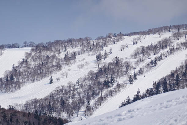 istock Snow covered trees on winter snow mountains. Winter snow mountain forest landscape. 1178540246
