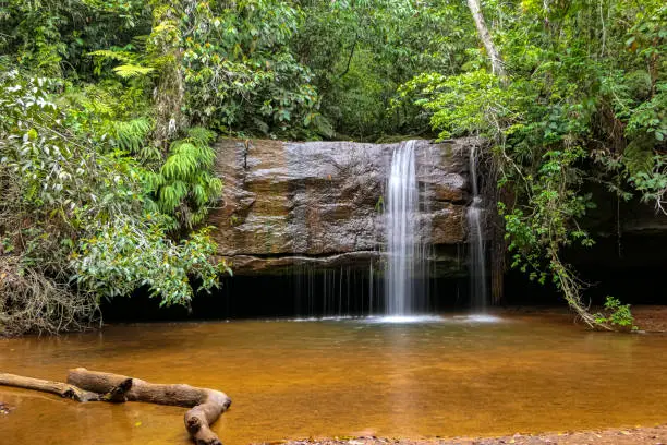 Photo of Small waterfall with lush vegetation and pond, Chapada dos Guimarães