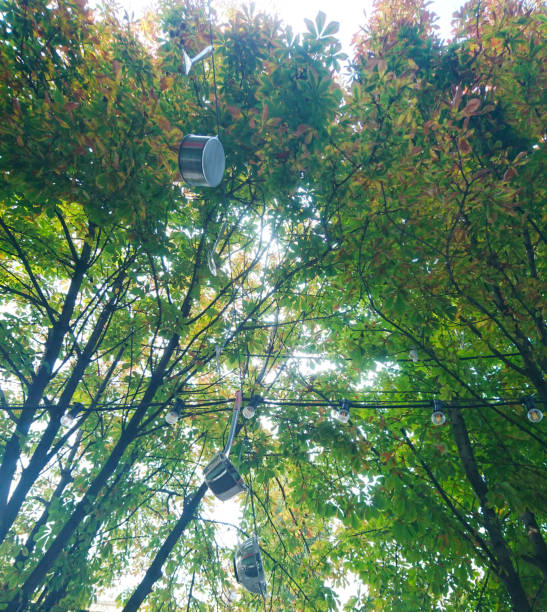 istock Pans hanging among green trees 1178543888