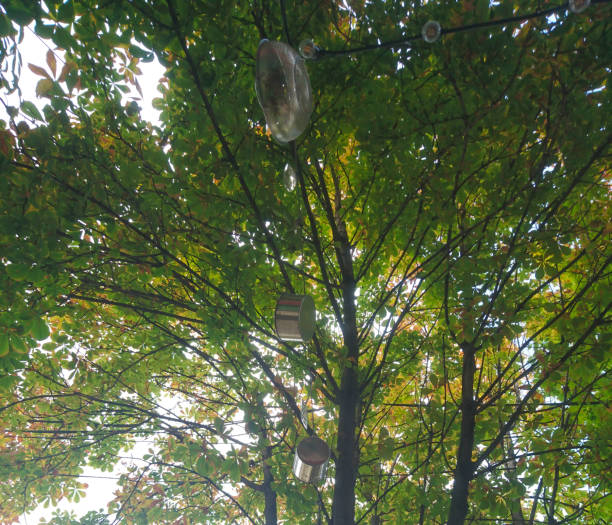 istock Pans hanging among green trees 1178544425