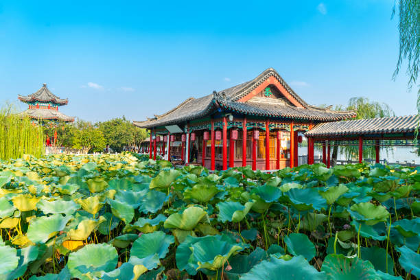 istock Beautiful scenery of Daming Lake 1178544824