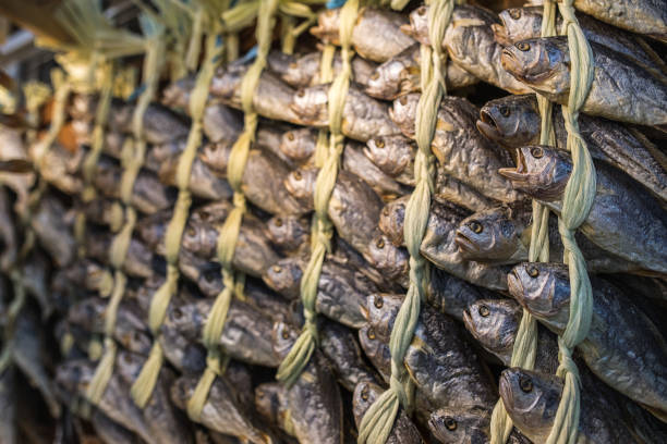 Bunch of dried fish hanging at street fish market in Seoul, South Korea