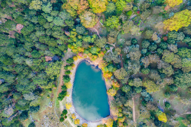 istock You'll always find peace when you're surrounded by nature 1178547140