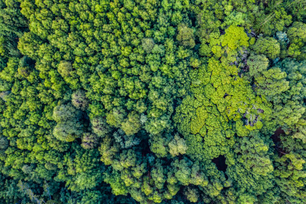 istock We all deserve a fresh break from the city 1178547142