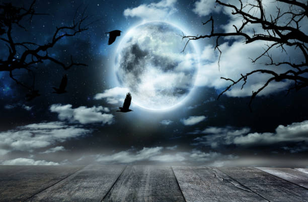 istock Spooky horror background with empty wooden planks 1178548387