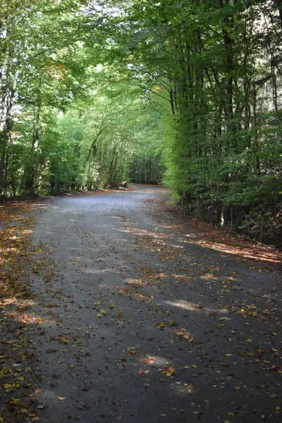 2019 - more than 40 years since the last wheel ran through here, now only some people on hike walk here