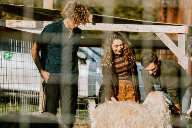 istock College Students Take Break from University to Country Farm 1178551787