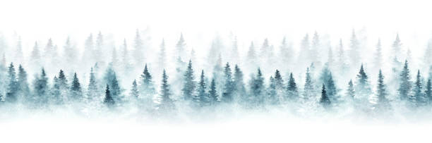 muster mit wald - woods tree panoramic snow stock-grafiken, -clipart, -cartoons und -symbole