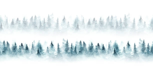 Pattern with forest Seamless pattern with foggy spruce forest. Fir trees isolated on white background. misty trees blue stock illustrations