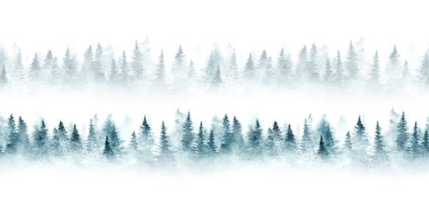 Pattern with forest Seamless pattern with foggy spruce forest. Fir trees isolated on white background. fir tree horizon forest woods stock illustrations