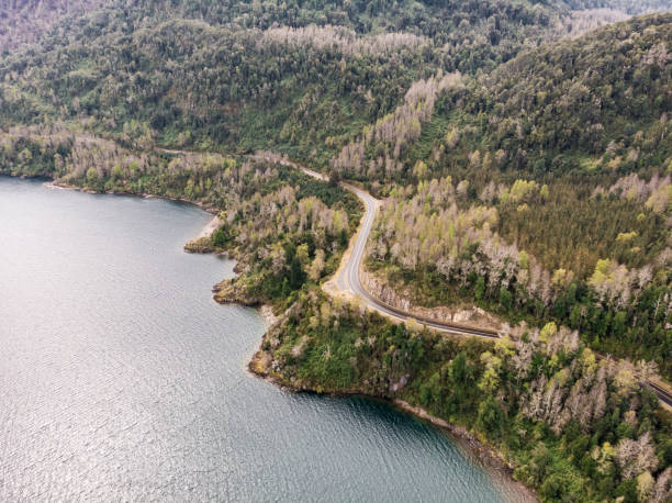 istock Road along Panguipulli Lake 1178554565