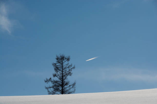 Winter sunny sky and contrail