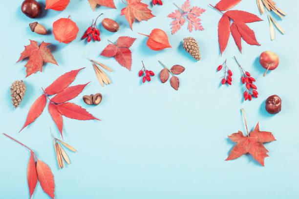 istock autumn leaves on blue paper background 1178558051
