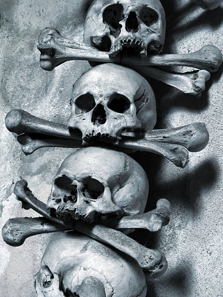 totenschädel und knochen - kutna hora skull human bone people stock-fotos und bilder
