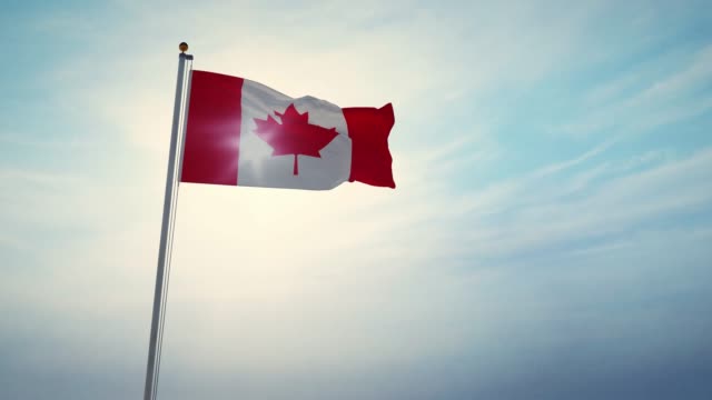Canada Flag Stock Videos and Royalty-Free Footage - iStock