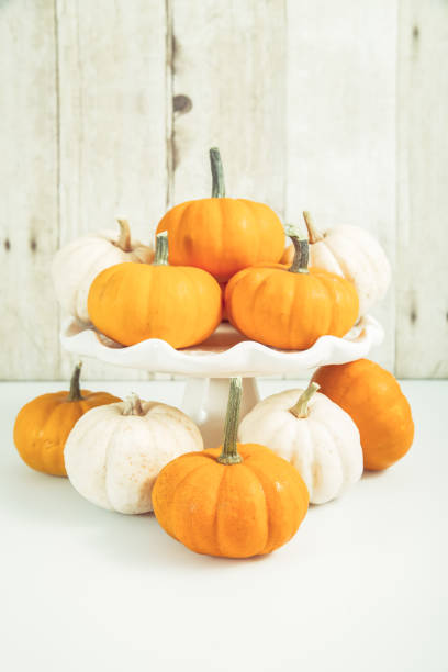 istock Mini pumpkins on wood 1178560555