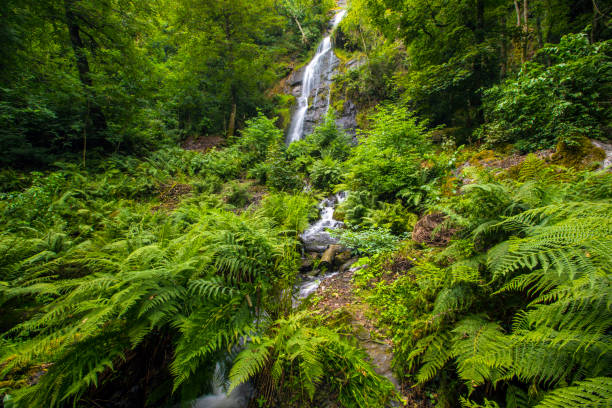 istock Lady Exmouth Falls in Canonteign, South Devon, UK 1178561080