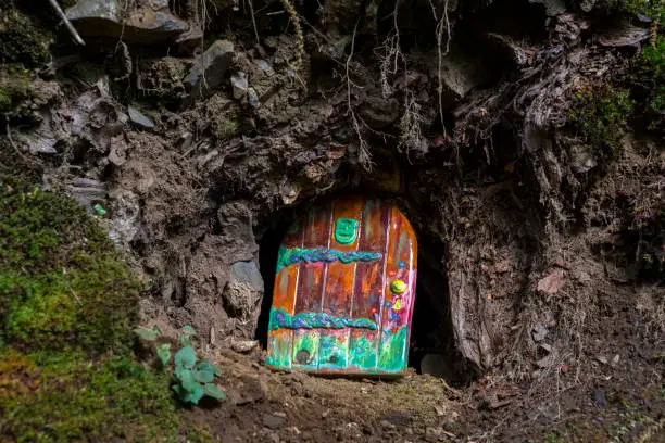 A fairy door in a woodland area.