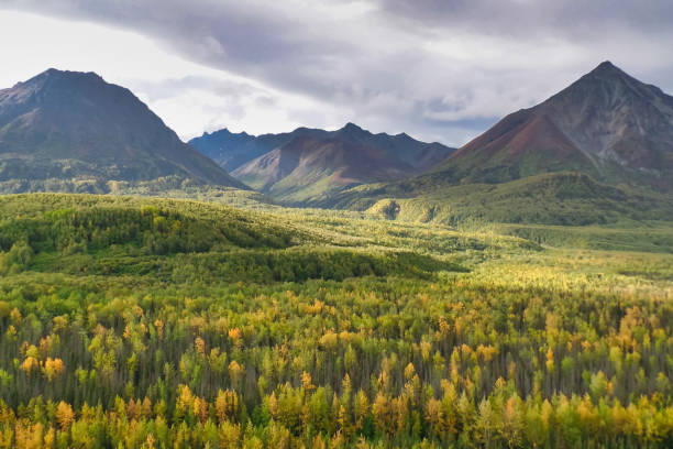 istock Autumn colour in Alaska 1178565492