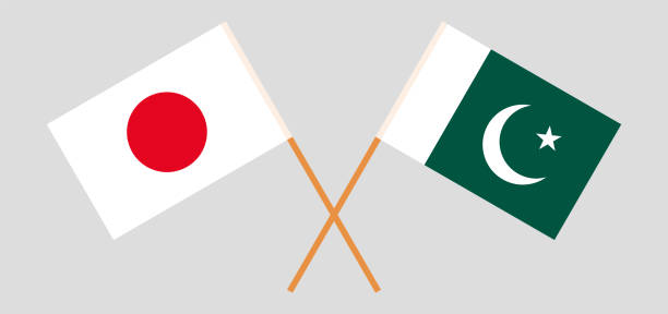 ilustraciones, imágenes clip art, dibujos animados e iconos de stock de pakistán y japón. banderas paquistaníes y japonesas cruzadas - flagged