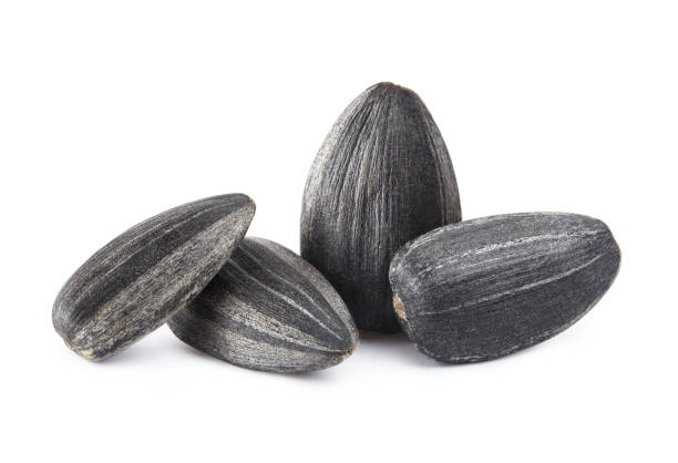 istock Sunflower black seeds on white 1178573658