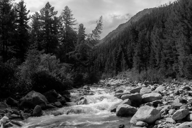 istock Black and white landscape with a mountain river. 1178579696