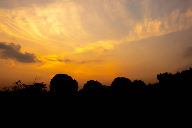 Silhouette Orange sky with natural black foreground.