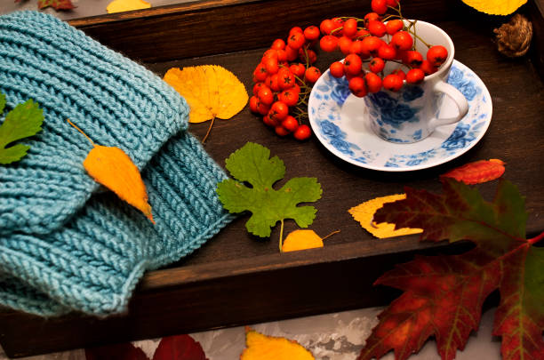 istock Autumn composition. Autumn mood. A blue cup with rowan berries blue background 1178582754