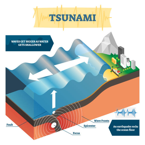 ilustrações de stock, clip art, desenhos animados e ícones de tsunami vector illustration. labeled educational big ocean wave explanation - underwater mine