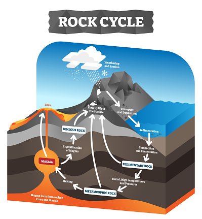 Rock cycle vector illustration. Educational labeled geology process scheme. Diagram with sedimentary, metamorphic and igneous formation. Pressure force impact on tectonic plates. Ground erosion layers