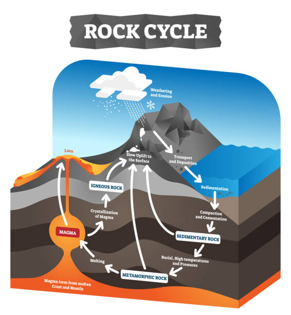 Rock cycle vector illustration. Educational labeled geology process scheme. Rock cycle vector illustration. Educational labeled geology process scheme. Diagram with sedimentary, metamorphic and igneous formation. Pressure force impact on tectonic plates. Ground erosion layers igneous rock stock illustrations