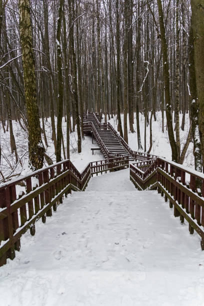 A wooden staircase through a ravine. Bitsa Park, Moscow, Russia. December.