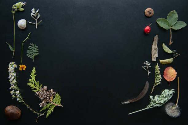Natural picture frame with black background