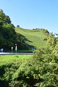 moseltal-steppenwein.jpg?b=1&s=170x170&k=20&c=RYTQ4yGYmStFMRC_hAxvyyAJGfIwyjZv2Zdpumm4xpw=