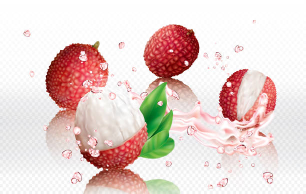 Lychee fruits in burst splashes of juices Lychee fruits into splashes of juices on a transparent background. Vector mesh illustration lychee stock illustrations