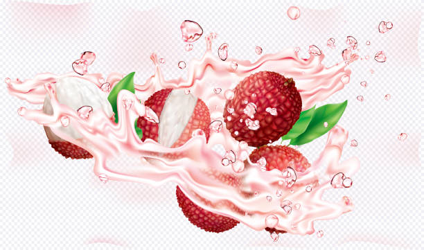 Lychee fruits into burst splashes of juices Lychee fruits in burst splashes of juices on a transparent background. Vector mesh illustration lychee stock illustrations