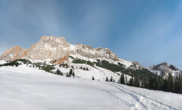 picos de montaña de los alpes nevados y paisajes de invierno - austria mountain panoramic ehrwald fotografías e imágenes de stock