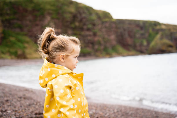 Beautiful little girl looking at the sea stock photo