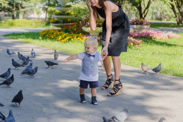 istock Little boy surrounded by pigeons in the park 1178608057
