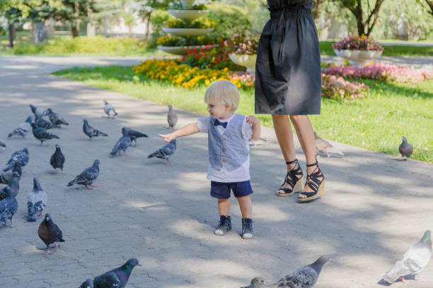 istock Little boy surrounded by pigeons in the park 1178608078