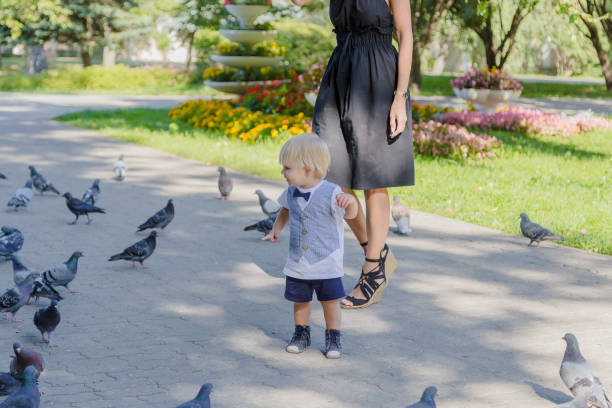 istock Little boy surrounded by pigeons in the park 1178608090