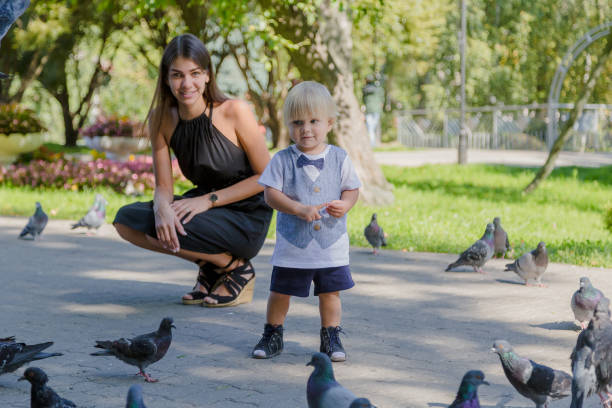 istock Little boy surrounded by pigeons in the park 1178608110